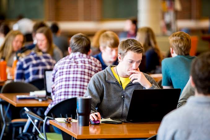 Economics and Management